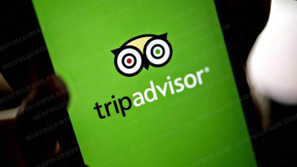 Why TripAdvisor Reviews are Essential for Your Business