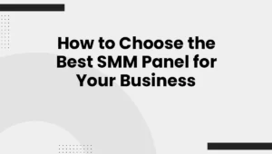 How to Choose the Best SMM Panel for Your Business